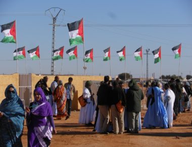 Bandiere saharawi nel Sahara occidentale© Gilberto Mastromatteo