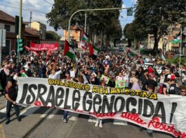 corteo palestina